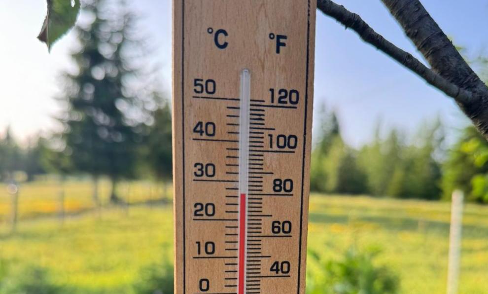 Wooden air thermometer